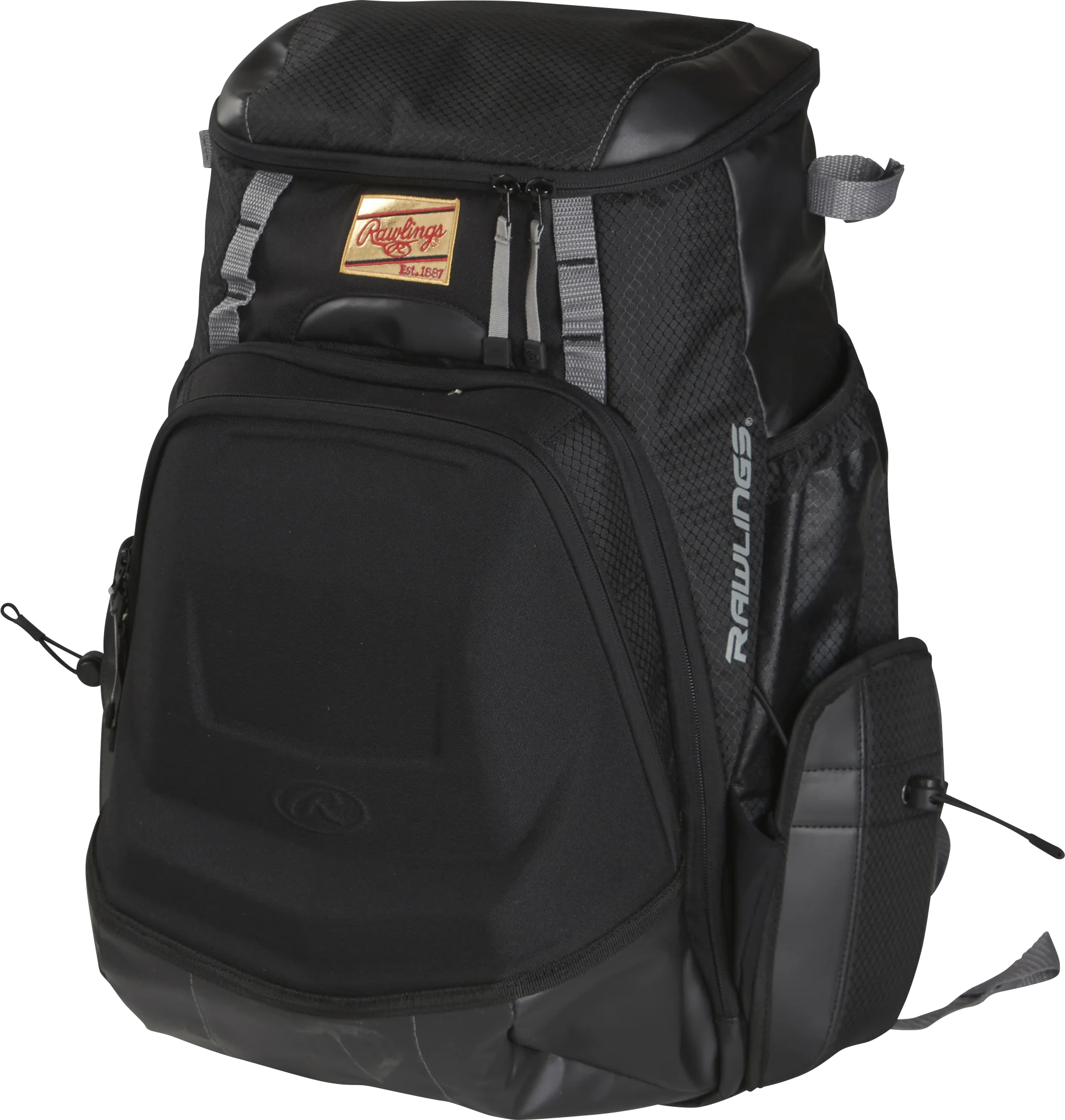 Rawlings Gold Glove Series Bat Pack