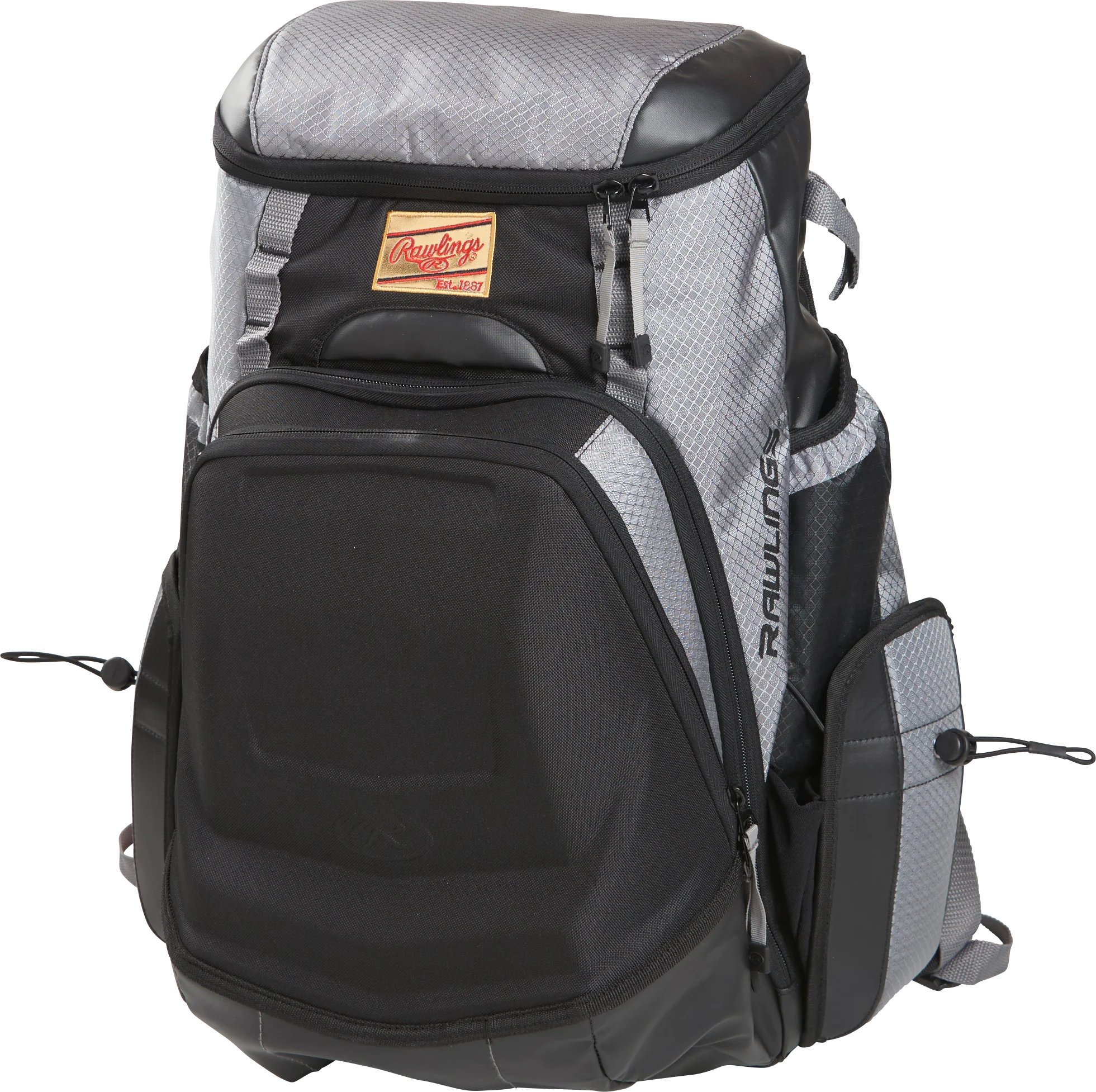 Rawlings Gold Glove Series Bat Pack - Image 11