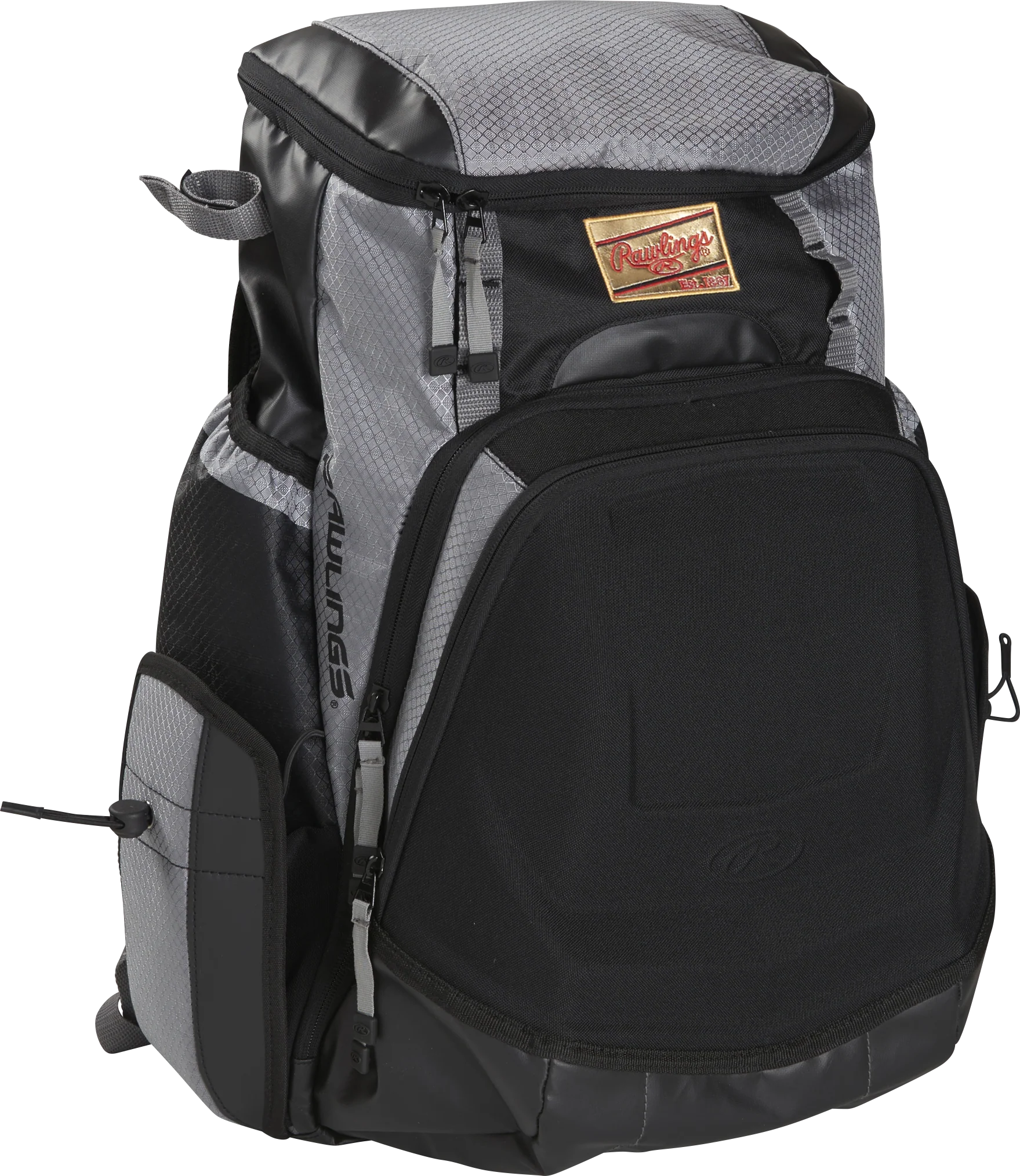 Rawlings Gold Glove Series Bat Pack - Image 12